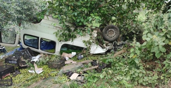 Aracıyla zeytinliğe uçtu: Acı haber geldi!