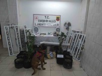 Jandarmanda Seyitgazi'de Uyusturucu Operasyonu