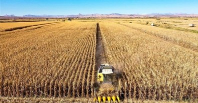 Tarim-ÜFE Yillik Yüzde 50,79 Artti