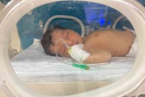 Vicdansizlar, Dere Yaninda Agaç Altina Terk Edilen 3-4 Günlük Bebek Bulundu