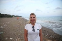 Mersin Sahilleri Deniz Kaplumbagalarini Agirlamaya Basladi