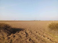 Türkiye'nin Yüzde 22,5'I Yüksek Çöllesme Riski Altinda