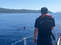 Yüzerek Yunanistan'a Geçmeye Çalisti, Sahil Güvenlikten Kaçamadi