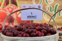 Amasya Kiraz Üretiminde Türkiye Üçüncüsü