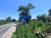 Gri Balikçillarin Sira Disi Yuvalari Korunuyor