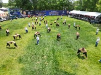 Hünkar Çayiri Yagli Güresleri Basladi