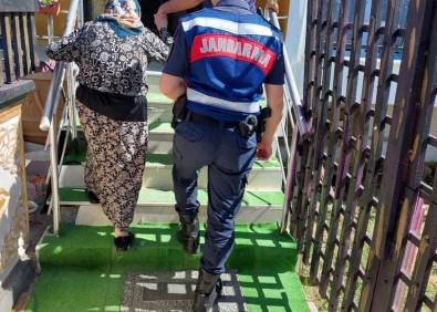 Kaybolan Yasli Kadin Jandarma Tarafindan Bulundu