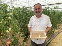 7 Türde 50 Çesit Tohumu 16 Ülkeye Ihraç Ediyor