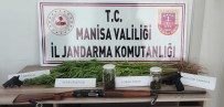 Manisa'da 45 Kök Kenevir Ve 30 Gram Esrar Ele Geçirildi