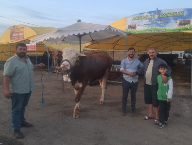 Dev Dana 135 Bin Liradan Alici Buldu