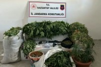 Jandarmadan Dev Uyusturucu Operasyonu Açiklamasi 23 Bin 770 Kök Hashas Ele Geçirildi