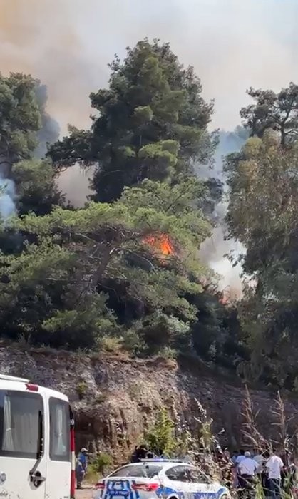 Antalya'da orman yangını