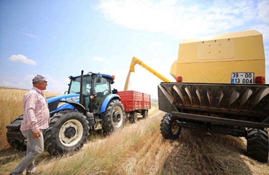 Trakya'da arpa hasadı başladı: Yağışlar verimliliği artırdı