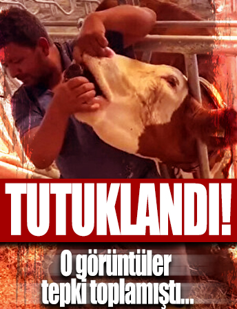 Görüntüler sosyal medyada büyük tepki toplamıştı: Tutuklandı