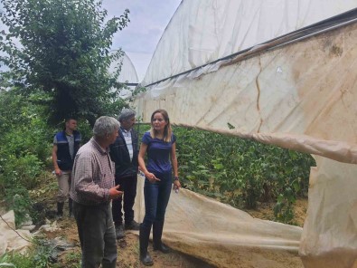 Tarim Alanlarinda Hasar Tespit Çalismalari Gerçeklestirildi