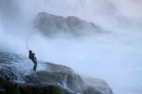 Uluslararasi Yarismadan Dereceyle Döndü