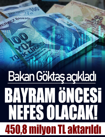 Bakan Göktaş açıkladı: 450,8 milyon TL aktarıldı