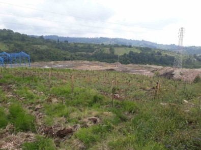 Karma Meyve Bahçesi Projesi Ile Çiftçilere Uygulamali Egitim