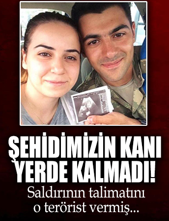 MİT'in etkisiz hale getirdiği terörist üsteğmenimiz şehit etmiş