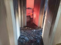 Prefabrik Ev Alev Alev Yandi