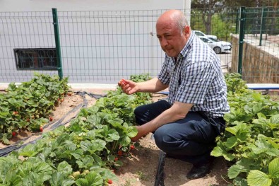 Talas'ta Deneme Bahçeleriyle Yeni Ürünlere Tesvik