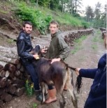 Ahirdan Kaçti, 5 Gün Sora 10 Kilometre Uzaklikta Bulundu