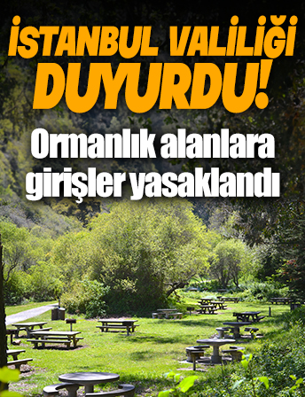 İstanbul Valiliği duyurdu: Ormanlık alanlara girişler yasaklandı