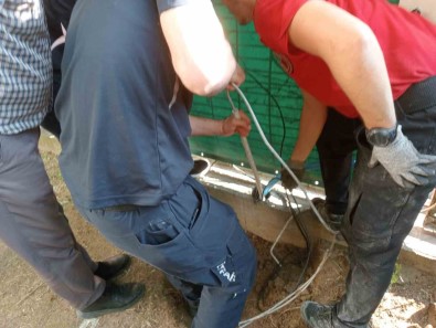 Yagmur Borusuna Sikisan Kedi 5 Saatte Kurtarildi