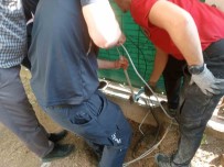 Yagmur Borusuna Sikisan Kedi 5 Saatte Kurtarildi