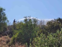 Didim'deki Yangin Korkuttu