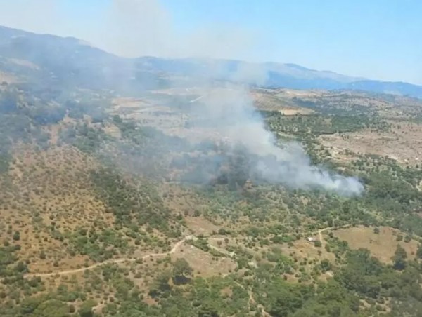 Bergama'da orman yangını