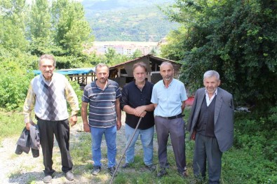 Kurtlar, 350'Den Fazla Koyunu Telef Etti