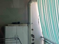 Elazig Belediyesi Minik Ahsen'in Hayvan Sevgisini Karsiliksiz Birakmadi