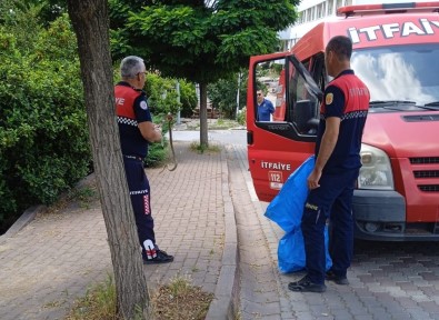 Çan'da Itfaiye Ekipleri Yol Kenarinda Yakaladiklari Yilani Dogal Ortamina Birakti