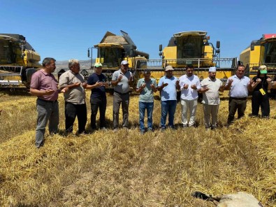 Sultansuyu TIGEM'de Hasat Mevsimi