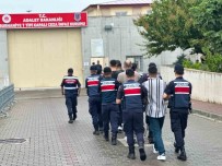 Balikesir'de Jandarmadan Suç Örgütüne Operasyon 7 Tutuklama