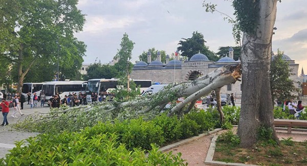 Fatih'te korku dolu anlar! Turist rehberi devrilen ağacın altında kaldı