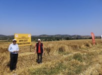 Çanakkale'de 'Arpa Çesit Demonstrasyonu' Tarla Günü Düzenlendi