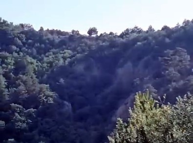 Ormanda Yürüyüs Yaparken 200 Metrelik Uçuruma Düstü