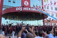 Samsun'da 193 Bin Yüksekokul Veya Fakülte Mezunu Var