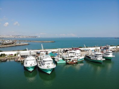 Hayvansal Ürün Ihracatiyla Milyonlarca Döviz Türkiye'ye Girdi