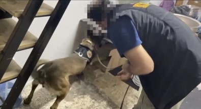 Izmir Polisi Zehir Tacirlerine Göz Açtirmadi Açiklamasi 2 Tutuklama