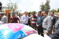 Pamukkale Belediyesi Yaralari Sarmaya Basladi Haberi