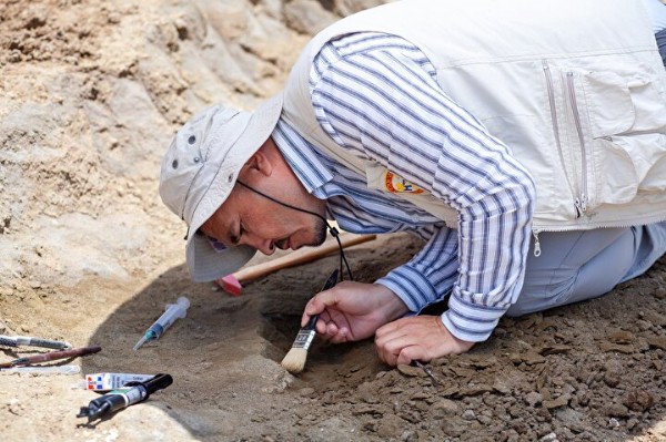 Çankırı'da dev gergedan fosiline ait yeni kemikler bulundu
