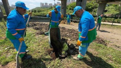 Basaksehir'in Fidan Üretim Merkezi Türkiye'ye Nefes Oluyor