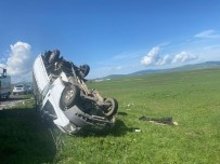 Ardahan'da Trafik Kazasi Açiklamasi 1 Ölü, 2 Yarali Haberi
