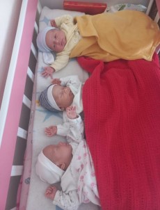 Üçüz Bebek Dünyaya Getiren Anne Hayirseverlerden Bez Ve Kiyafet Yardimi Istedi