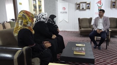 Çöküsten Zirveye Yepyeni 65 Hayat