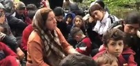 Göçmenler Yunanistan'da Nehirdeki Adacikta Mahsur Kaldi Haberi
