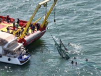 Istanbul Çevresinde 9 Yilda 334 Bin Metrekare Hayalet Ag Temizlendi